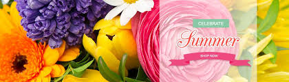 Maybe you would like to learn more about one of these? Georgettes Flowers