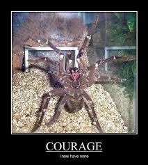 Everyone Has Their Limits Funny Animals Funny Pictures Funny Commercials