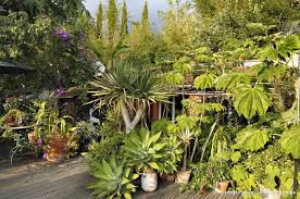 Un espace de vie supplémentaire a été ajouté à l'étage, en plus d'une pièce en bas qui s'ouvre sur le jardin luxuriant. Un Jardin Luxuriant A Menton Les Plus Beaux Jardins Jardin Luxuriant Jardins