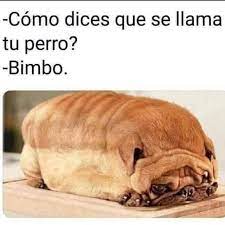 Pin En Memes Viralmania
