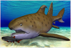 These images reveal a rich abundance of lemon and black tip sharks, sea turtles, and sting rays. Godzilla Shark 300 Million Year Old Fossil Discovered In New Mexico Fox 59