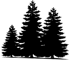Free Image On Pixabay Pine Trees Christmas Sillueta Christmas Tree Silhouette Pine Tree Silhouette Tree Svg
