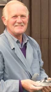 比利时出色赛绩2017/07/21