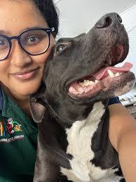 Dion Hackett's Instagram, Twitter & Facebook