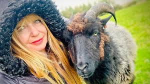 Whitby sheep sanctuary makes 'desperate' appeal for help