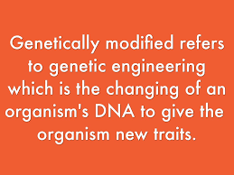 The genetic modification is accomplished by inserting dna into an embryo with the assistance of a virus, a plasmid, or a gene gun. Benefits Of Transgenic Organisms By Manning Webb