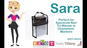 Sara Buddy Bag from Totally Tiffany