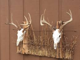 We did not find results for: Fence Post Double European Mount Deer Mounts Deer Mount Decor Deer Antler Decor