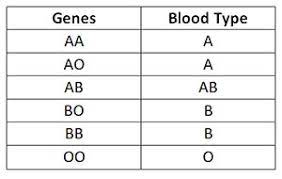 The punnett square calculator is an online tool that allows you to setup traits of the parents to predict frequency of occurence of particular genotype and phenotype in progenies. Understanding Genetics