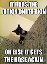 If you believe so, i'l m teach you some photograph again underneath: Funny Cat Picture Of A Cat Peering Over A Shower Wall With The Caption It Rubs The Lotion On Its Skin Or Else It Get Cat Quotes Funny Funny Cat Memes