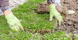 Maybe you would like to learn more about one of these? End Of Season Sale On Emerald Zoysia Sod A N Sod Supply Inc