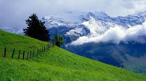 Best nature hd wallpapers for mobile and desktop, android and iphone. 1920x1080 Hd Nature Wallpapers Top Free 1920x1080 Hd Nature Backgrounds Wallpaperaccess