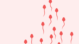 But subsequent studies raised questions about the validity of that finding. Sperm Sperm Health Extend Fertility