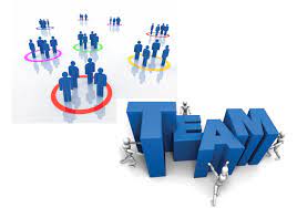 Care este rolul unui manager de resurse umane ➤ care sunt abilitatile si calitatile esentiale pentru orice manager hr ➤ ce responsabilitati are un pe langa acest aspect, managerul de resurse umane trebuie sa stie sa coordoneze echipe, sa aleaga angajatii potriviti, astfel incat sa accelereze si. Resurse Umane In Genere Despre Resurse Umane