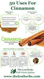 50 Uses For Cinnamon In 2021 How To Relieve Nausea Herb Tinctures Herbs