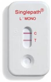 Lateral flow tests are immunoassays for detecting food pathogens with the ultimate convenience. Lateral Flow Test Fur Listeria Singlepath Listeria Vwr