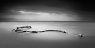 A Giant Twisting Serpent Skeleton Emerges From The Loire River In France Loire River Colossal Art Serpent