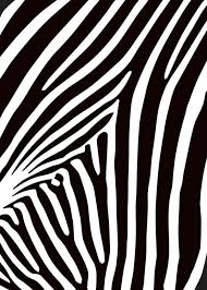 Check out amazing stripes artwork on deviantart. Zebra Stripes Poster Streifen Zebra Desenio De