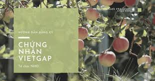 Hướng dẫn đăng ký giấy chứng nhận VietGap - NHONHO