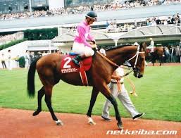 サクラバクシンオー 競走馬データ Netkeiba Com