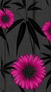 Iphone Wallpaper Hd Hd Photo Ios Wallpaper Iphone Plus Wallpaper Iphone Download Hd Black W Black Wallpaper Iphone Flower Wallpaper Black Wallpaper