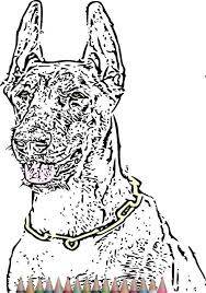 Pin On Animal Coloring Pages