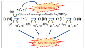 What is the overall balanced redox reaction: Ijerph Free Full Text Chromium Pollution In European Water Sources Health Risk And Remediation Strategies An Overview Html
