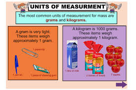 Pin By Taylor Nassen On Grams Vs Kilograms Math