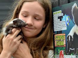 Wild time as Exotic Zoo opens at new Telford Town Park home
