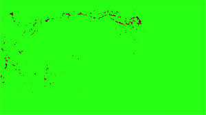 Red color powder explosion on black background.red dust particles splashing. Hd Blood Burst Motion Blur Green Screen 187 Freefx Net