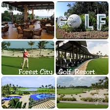 Location jalan persiaran golf 5, gelang patah, johor 81550. Ataraxia Park 1 By Wastone Forest City Water Park Johor Gelang Patah Updated 2021 Prices