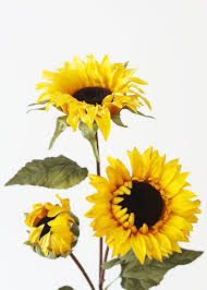 Learn how to make beautiful floral bouquets for the bride and her entire wedding party. 57 Sunflowers Ideas Fall Floral Arrangements Wedding Bouquets Fall Floral