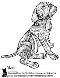 Pin On Dog Coloring Book Pages Download Free