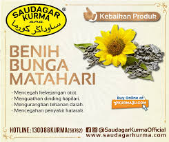 Zhu jin, fu sang, da hong hua o habitat : Saudagar Kurma Bunga Matahari Atau Sunflower Merupakan Bunga Yang Sangat Cantik Dan Kelihatan Segar Helianthus Annuus Merupakan Nama Saintifik Bunga Matahari Yang Berasal Daripada Keluarga Asteraceae Ia Merupakan Bunga Yang Mendapat