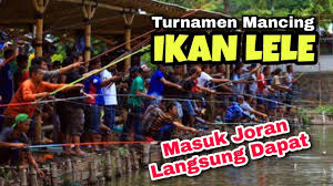 Turnamen Mancing Ikan Lele Langsung Dapat Ikannya Youtube