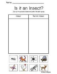 Image Result For Is It An Insect Worksheets For Kindergarten Insects Preschool Insects Kindergarten Insect Activities
