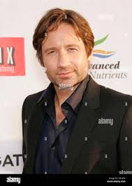 Californication duchovny hi-res stock photography and images