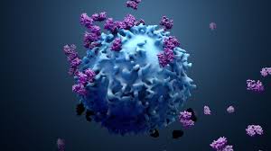 Pylori infection), genetic factors there is consistent evidence that helicobacter pylori infection, also known as h. Researchers Identify Six Distinct Symptom Cluster Types Of Covid 19 Technology Networks