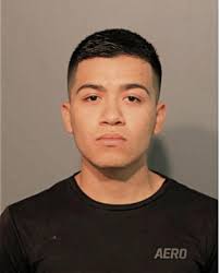 ᐅ Illinois Criminal Records 2009-2025