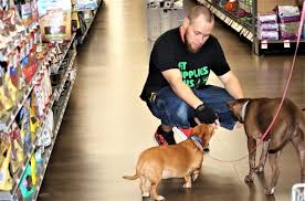Aside from shopping supplies and food, you can book grooming, veterinary checkups, training, and more. Pet Supplies Plus Near Me 400 Stores Across 31 States In The Us Timeline Pets