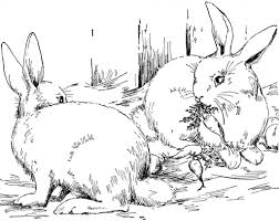 Contains 2 different bunny coloring pages! Easter Bunny Coloring Pages Coloring Rocks