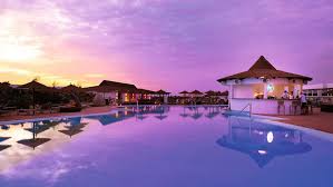 Image result for Melia