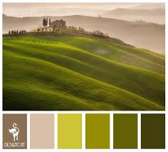 Rolling Hills Green Fern Sage Lime Beige Stone Coffee Brown Colour Inspiration Pallet Rolling Hills Painting Paint Color Pallets Color Inspiration