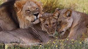 11 вещей, которые туристам не стоит делать в Руанде