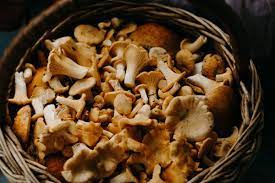 Basta seguire i nostri consigli e trovare il metodo di conservazione migliore per voi! Come Conservare I Funghi Freschi Everli Stories