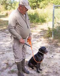 How to teach your dog to heel. Gundog Training Proper Use Of A Heeling Stick Mossy Oak