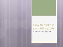 Name _ punnett square practice #1 use a punnett square to show the possible offspring from the crosses given and answer the questions: Ppt How To Make A Punnett Square Powerpoint Presentation Free Download Id 4448102
