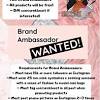 No high tickets conditions, anyone can be part of our team, and enjoy tons of free clothes, money, and high commissions. 1