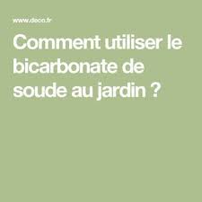 Utiliser Le Bicarbonate De Soude Dans Le Jardin Comme Desherbant Jardins Bicarbonate De Soude Et Conseils De Jardinage