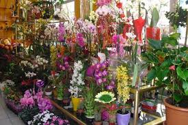 Locally owned and operated, this florist cultivates mountain blooms for gorgeous modern bouquets and arrangements. Reviews Flowers By L D Florist In Idaho Trustreviewers Com